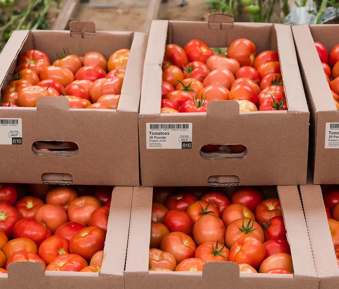 Stacked cardboard boxes filled with fresh red tomatoes with barcode labels