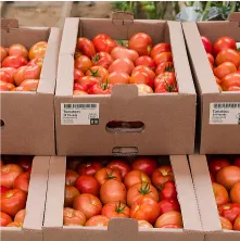boxes of lemons on a conveyor belt
