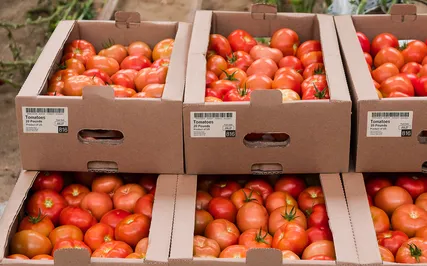 Agriculture and natural products industry