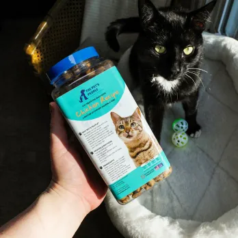 Hand holding cat supplement bottle with aqua label featuring feline health branding
