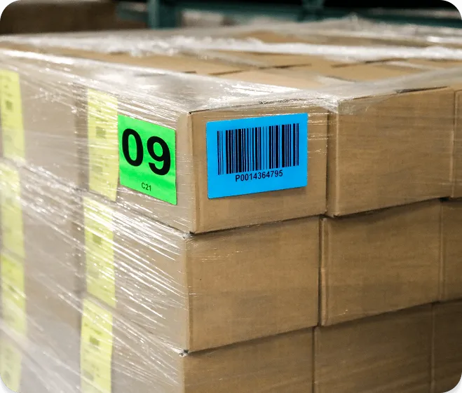 a shrinkwrapped pallet of cardboard boxes with blue and green labels on the side